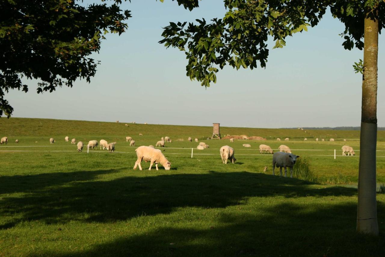 Ferienwohnungen Im Womoland Auf No Нордштранд Экстерьер фото